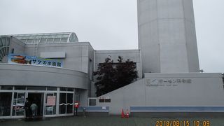 珍しいお魚や海の生物を見学出来ます。