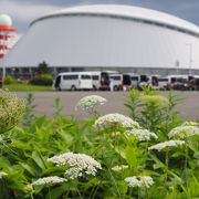 札幌ドームに比べるとちょっとアレな「つどーむ」