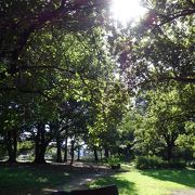 緑豊かな公園は東京都清瀬市