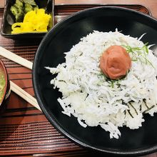 毎回食べるしらす丼