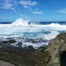 リアル海水プール。スノーケリングできます