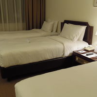 ベッドはちょうど良い反発力でした。