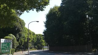 青山一丁目から