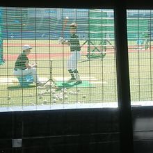 バックネット下から