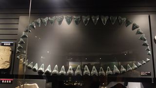 特別展＋常設展はまる一日必要です！