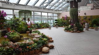 屋内でエアコンが効いています