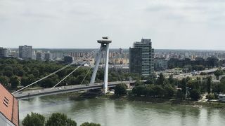 ブラチスラバ城から見るドナウ川