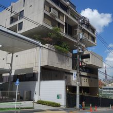 バックに東京タワー