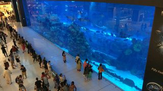 とっても大きな水槽♪日本の技術もスゴイ！