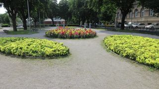 入場無料で珍しい植物も沢山ありました