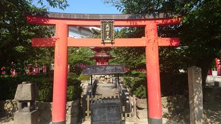 池で遊ぶ亀のような弁天堂