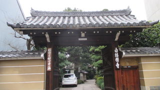 お庭が綺麗です