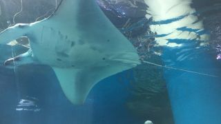 アクアパークでちょっと涼みに！