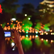 猿沢の池より興福寺の五重塔。