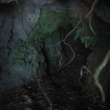 園内に残されている陣地壕内部の様子