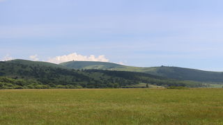 車山肩から遊歩道を歩いて、行ってみました。