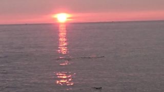 色々アクティビティが楽しめます