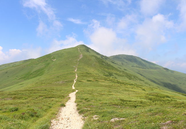 仙ノ倉山との間の稜線がすばらしい。ただブヨが多くて注意が必要です。