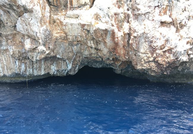 青の洞窟で泳げました