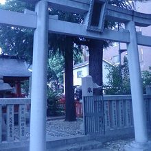 すくっと立っています。