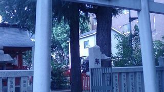 気持ちのいいくらいまっすぐな杉です。