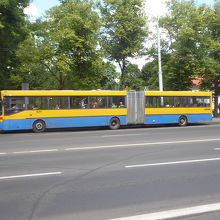 旧東欧系雰囲気を持っているビリニュスのバス