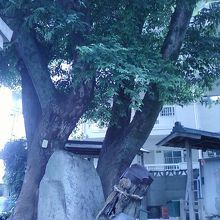 境内の様子です。