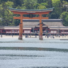 フェリーから見る厳島神社