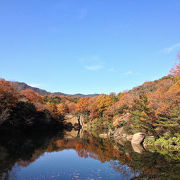 シーズンごとに綺麗な花が咲きます