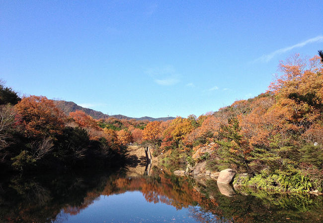 シーズンごとに綺麗な花が咲きます