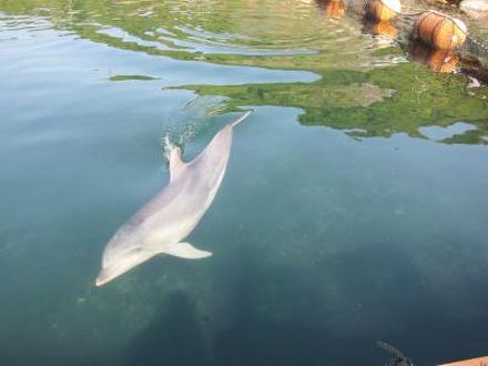 淡路じゃのひれコテージ ＜淡路島＞ 写真