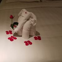 ベッドの上の像さん。かわいい演出。