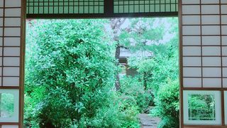 筍のフルコース