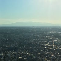 ロイヤルパークホテル 部屋からの眺め