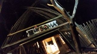 バーベキューとダンスショー