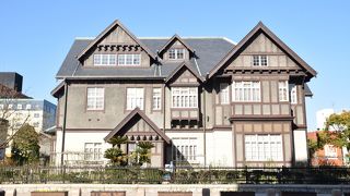 庭の花も綺麗でした