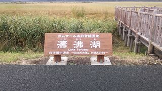 展望牧場からの景色はイマイチ