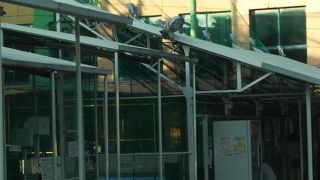 主人とボーリング