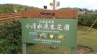 ９月の場合、さすがに花はムリですが…