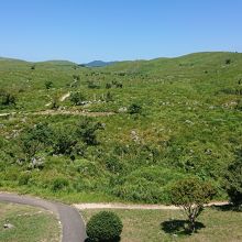 展望台からの眺め