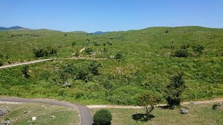 ここは立ち寄るべき