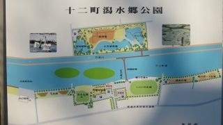 オニバスを見に