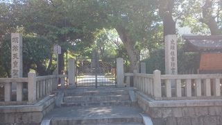 中に入れたらいいのに