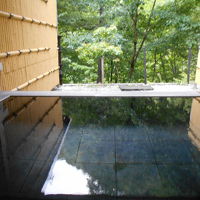 男女別に内湯とその奥に半露天風呂がある。お湯は透明。