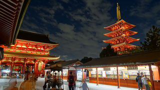 ライトアップされた夜も良いです