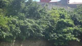 公園というよりは城跡