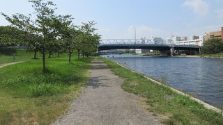 カヌーの練習をしていました