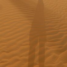 砂漠で胴長の自分を撮影