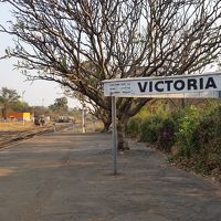 通りに出ました