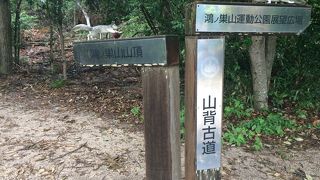 ハイキングコースになっていました。